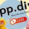 pp.diy 🌈 อัพเดทสินค้า
