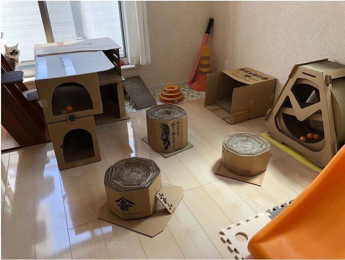 身近な素材で猫グッズ 愛猫のことを考えて手作りしました