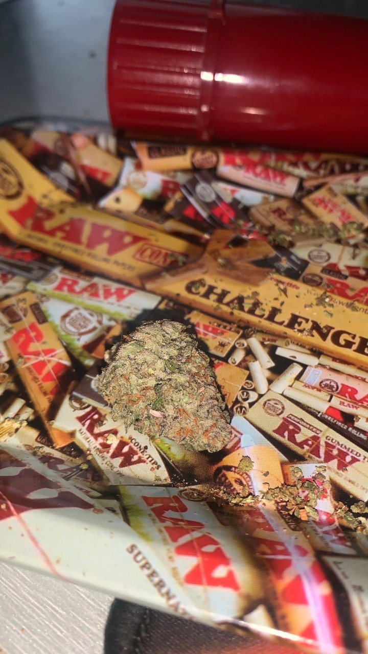 High On -420 thailand-