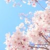 武蔵野大学通信教育部　心理学専攻