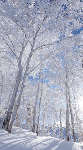 淡雪本丸