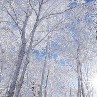 淡雪本丸