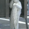 お願い友達下さい。緩全也
