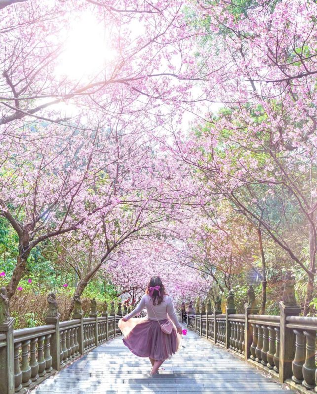 內湖碧山巖 北部走春廟宇推薦