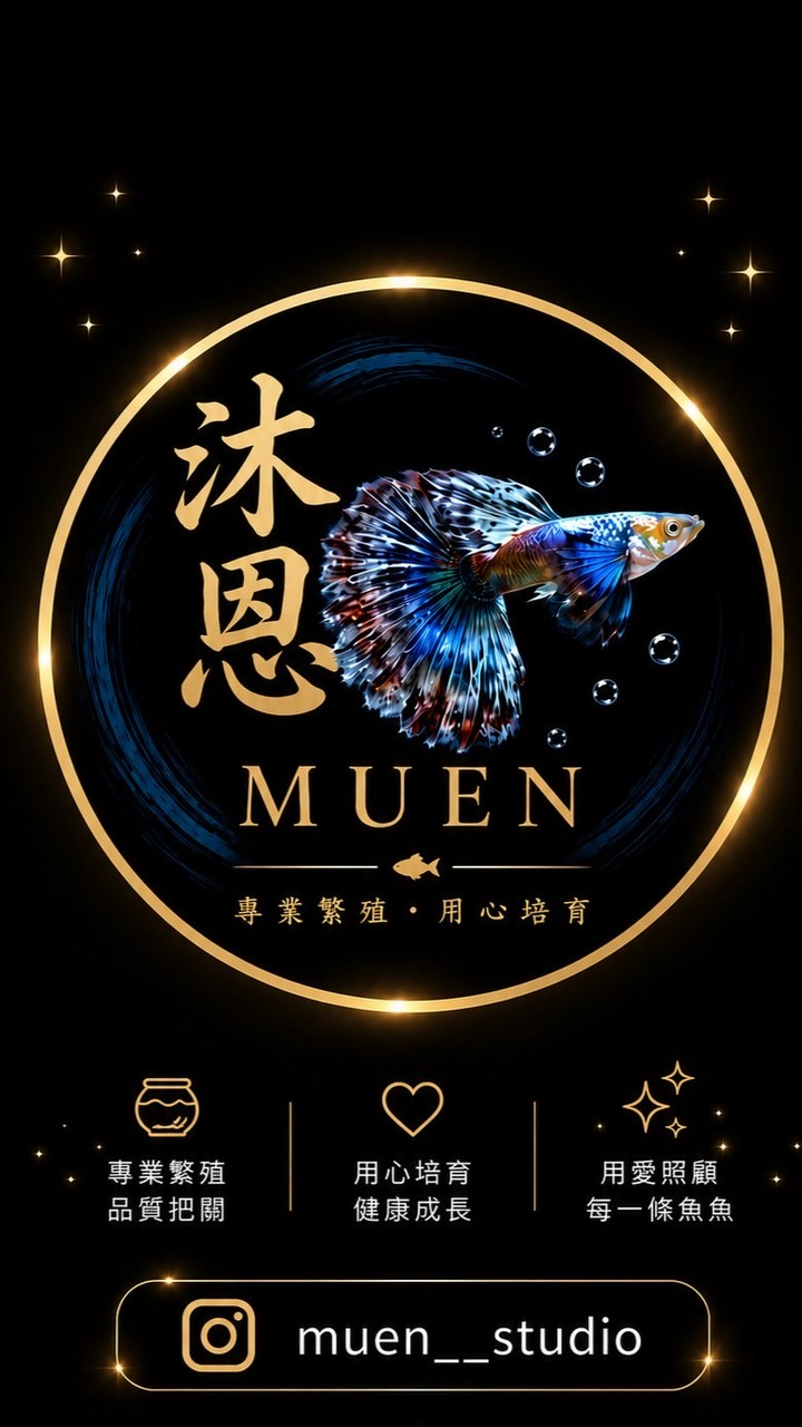 沐恩孔雀魚