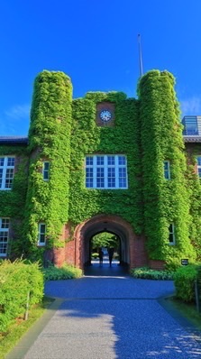 立教大学(全学部) 在学生の集い