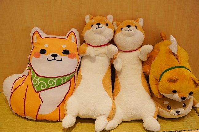 台中柴柴主題下午茶,台中西區美食,台中超萌柴犬雞蛋糕,柴犬造型雞蛋糕,豆燒本舖