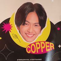 Team Vote (COPPER)