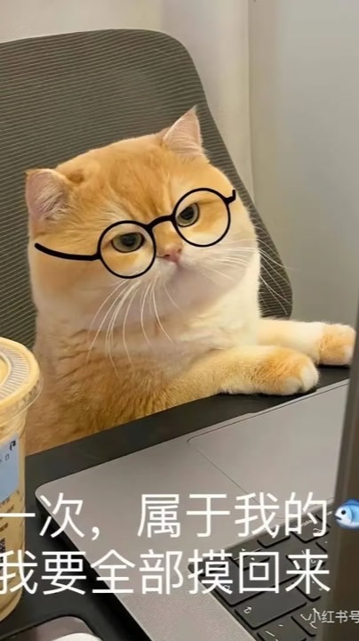 Muuyuu 大家想要換公會可以申請