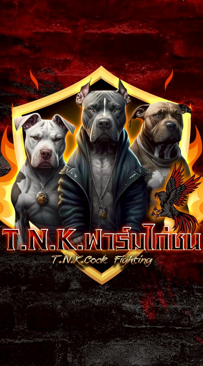 T.N.K ฟาร์มไก่ชน