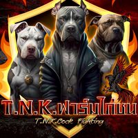 T.N.K ฟาร์มไก่ชน