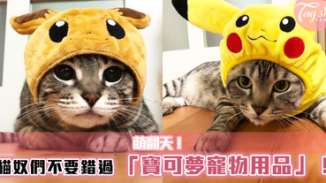 日本Petio推出「寶可夢寵物用品」萌翻天~貓奴們不能錯過！