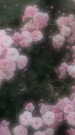 妖はじ語りましょう！