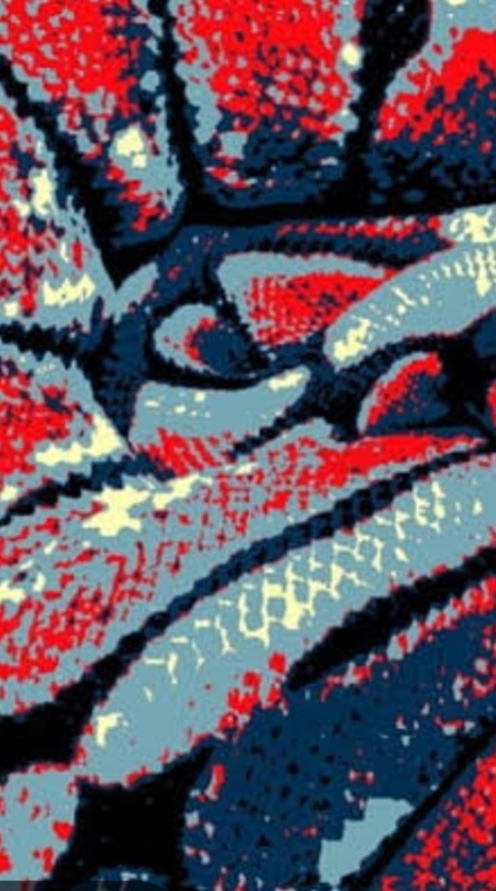 BBJ REPTILE
