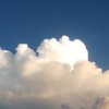推しについて語ろう