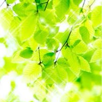 心と身体にオーガニックライフを始めよう