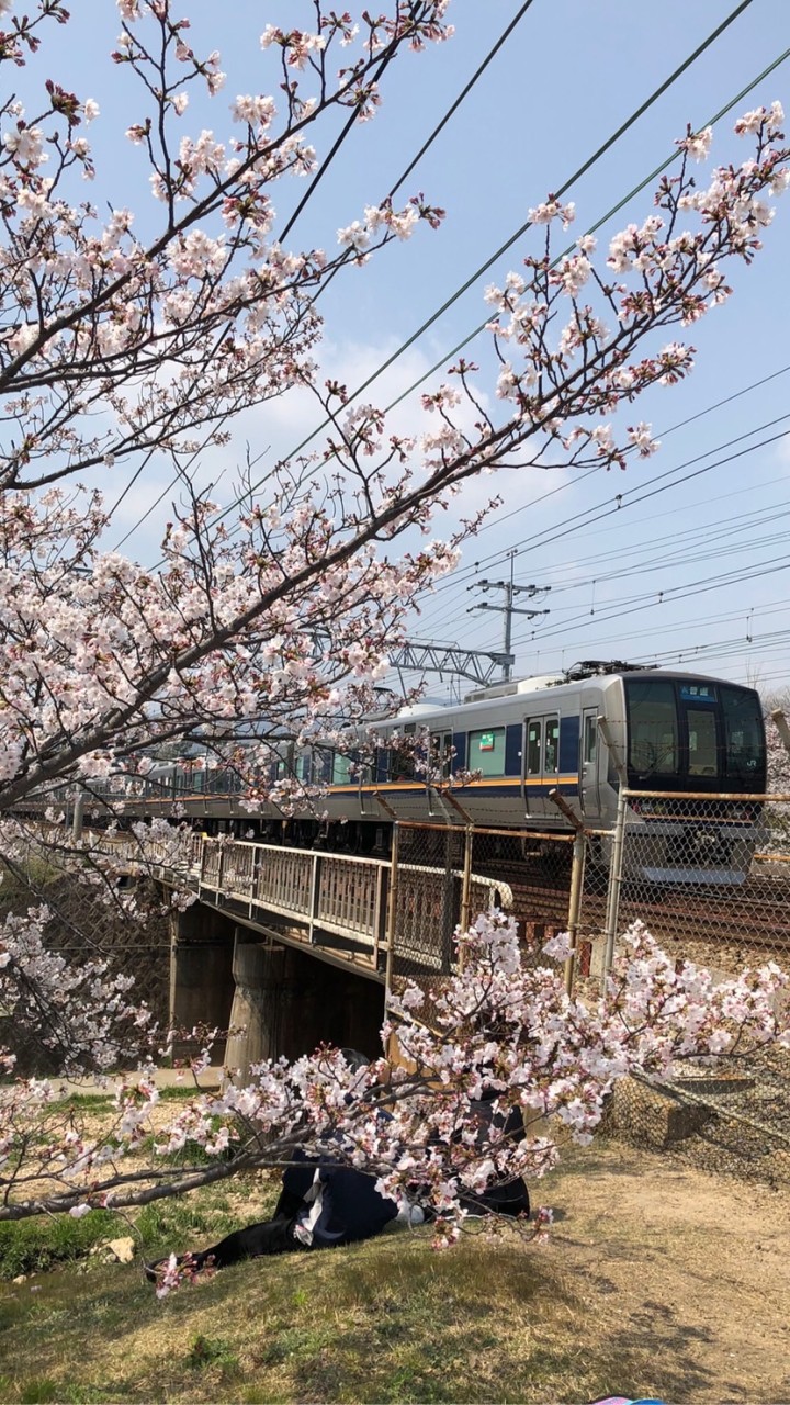 関西架空鉄道協会