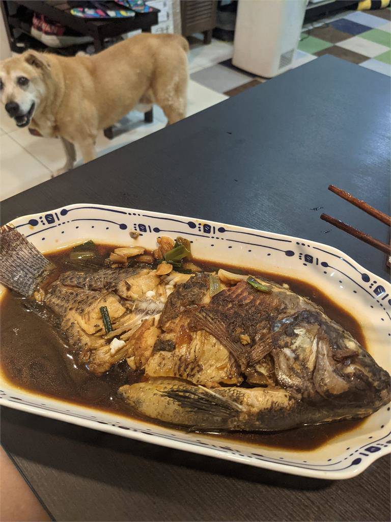 [黑特] 大酸楊丞琳「海鮮奢侈」說！陳柏惟PO紅燒