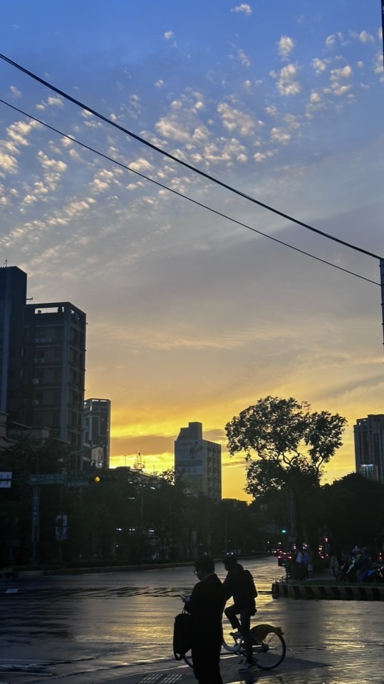 中華跆協114年裁判講習