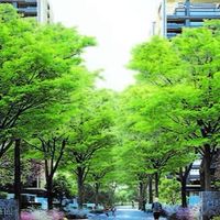 寶輝Village 勞安社群