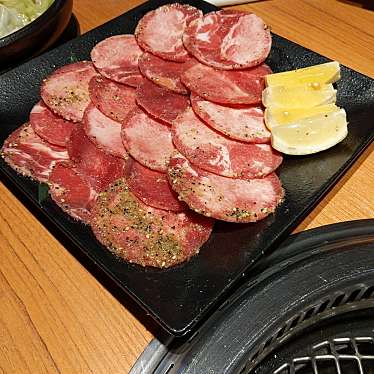 メニュー 特急焼肉 せいざん ヤキニクトッキュウセイザン サッポロホンテン 南22条西 中の島駅 焼肉 By Line Conomi