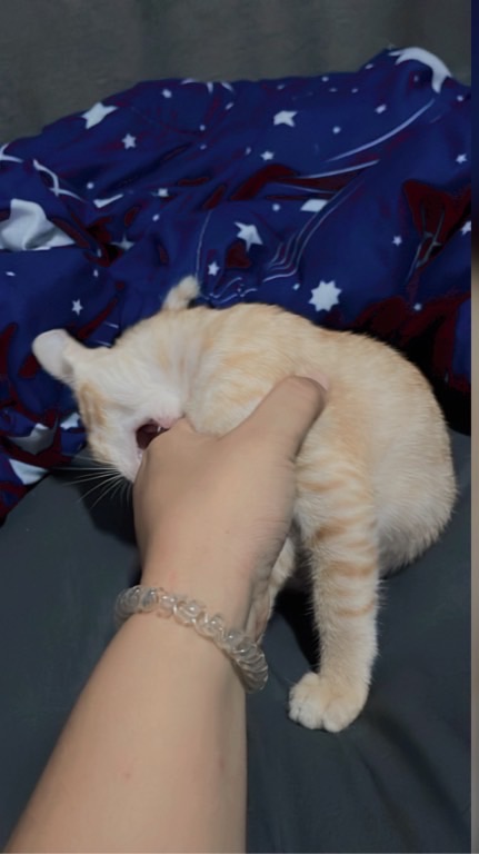💙🤍