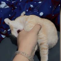 💙🤍