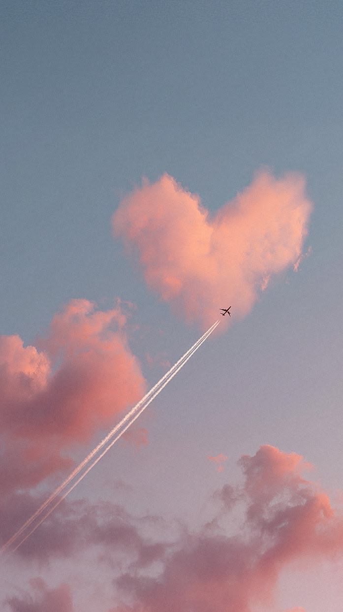 バゲボラマッチングコミュニティ✈️🐾
