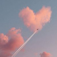 バゲボラマッチングコミュニティ✈️🐾