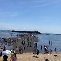 環島記帳本