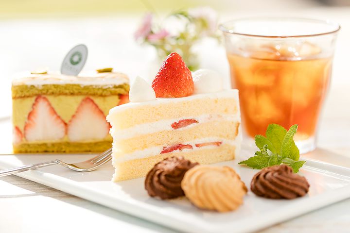 Mixed Media Feed 宮崎観光ホテル Line Official Account