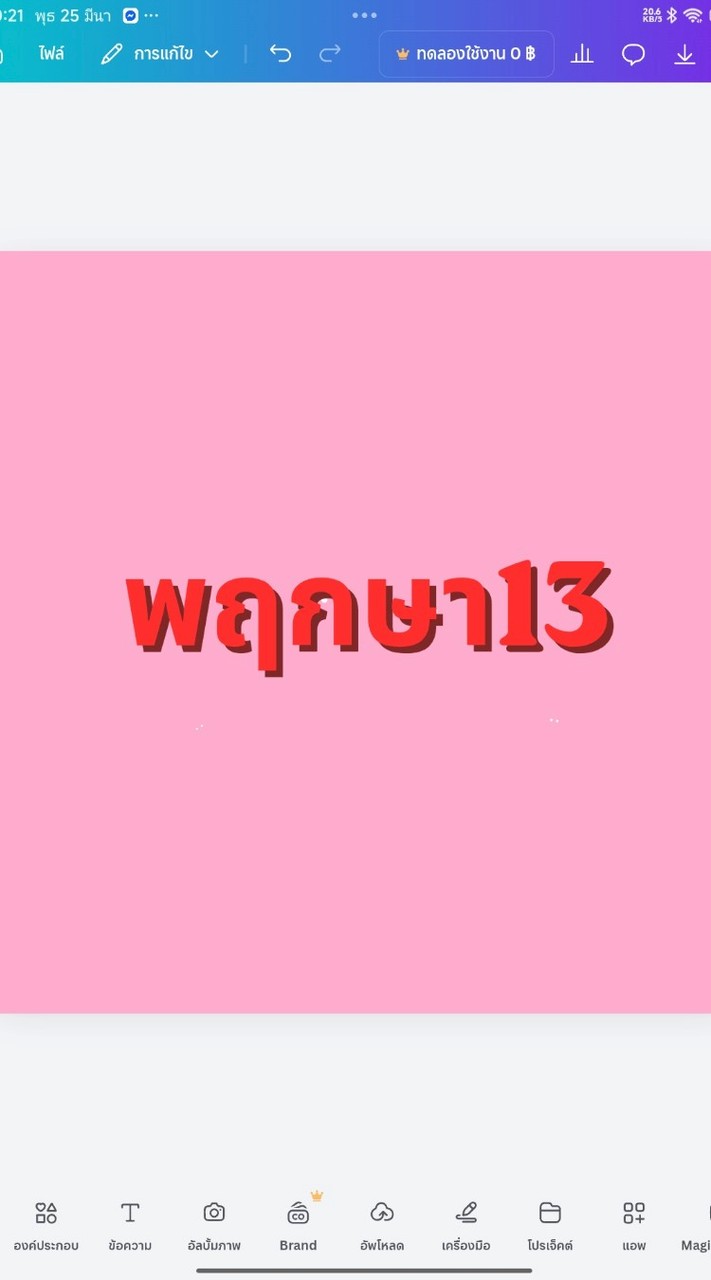 มวลชนนายกแดง_ หมู่บ้านพฤกษา 13