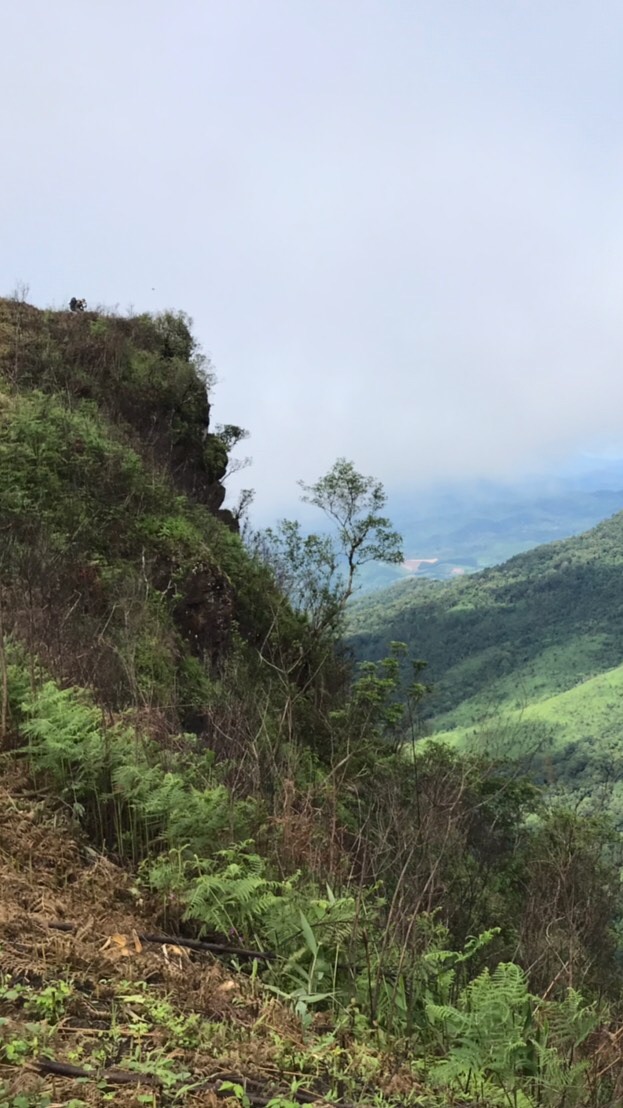 Hiking & Campcar