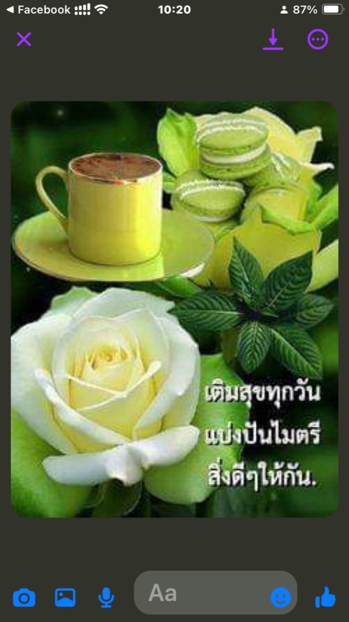 พุธสุดสวย