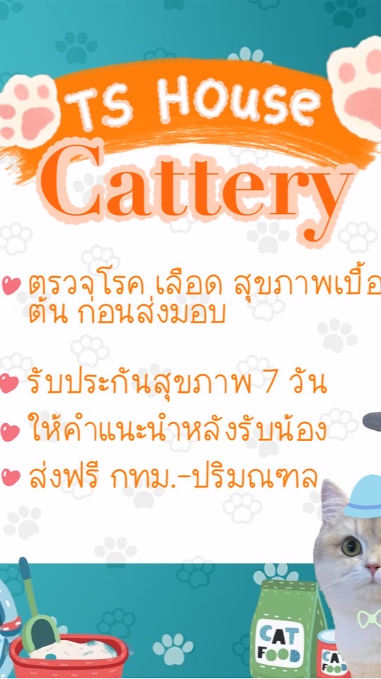 TS HOUSE CATTERY