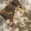 吃瓜/聊天/談戀愛