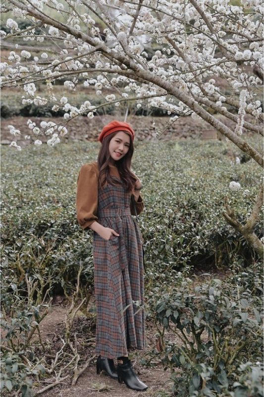 草坪頭玉山觀光茶園