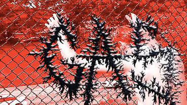 厭世當道的滑板語彙：Tony Choy-Sutton 的影像實驗