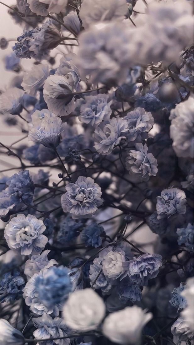 みんなで楽しく歌枠したり雑談したりゲームしたりなんでもしよ〜！！！！