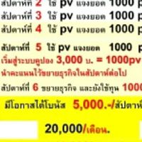 เปิดโอกาสให้น้องใหม่ PjMมาระบายความรู้สึก