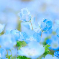 少人数主婦でも楽しく会話したい人