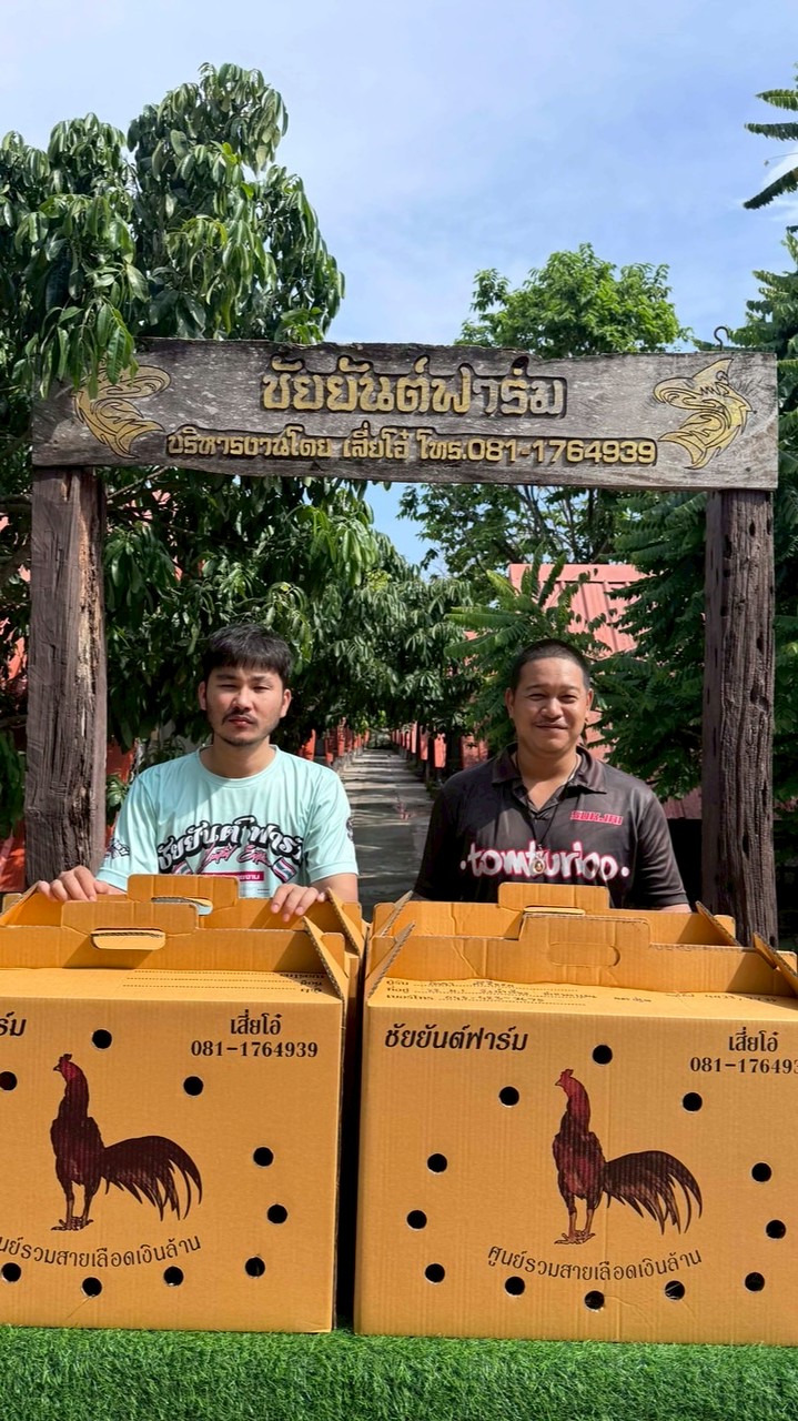 ซุ้มเพชรบ้านใหม่99