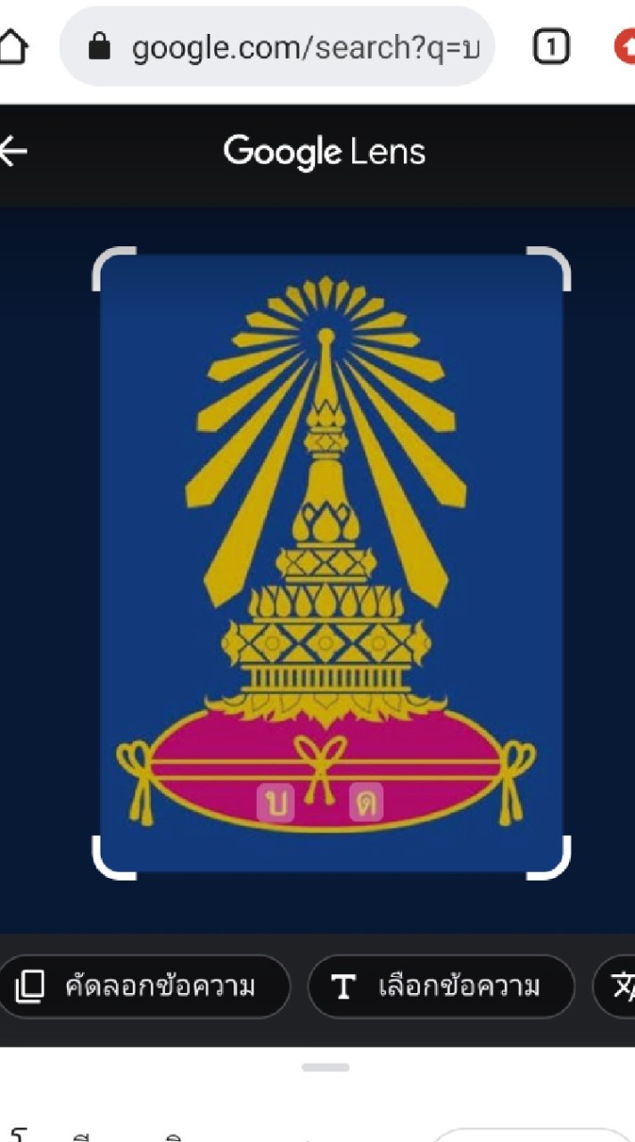 กรรมการ BD55