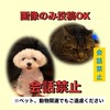 ペットの写真をシェアしあおう～動物に癒されたい～