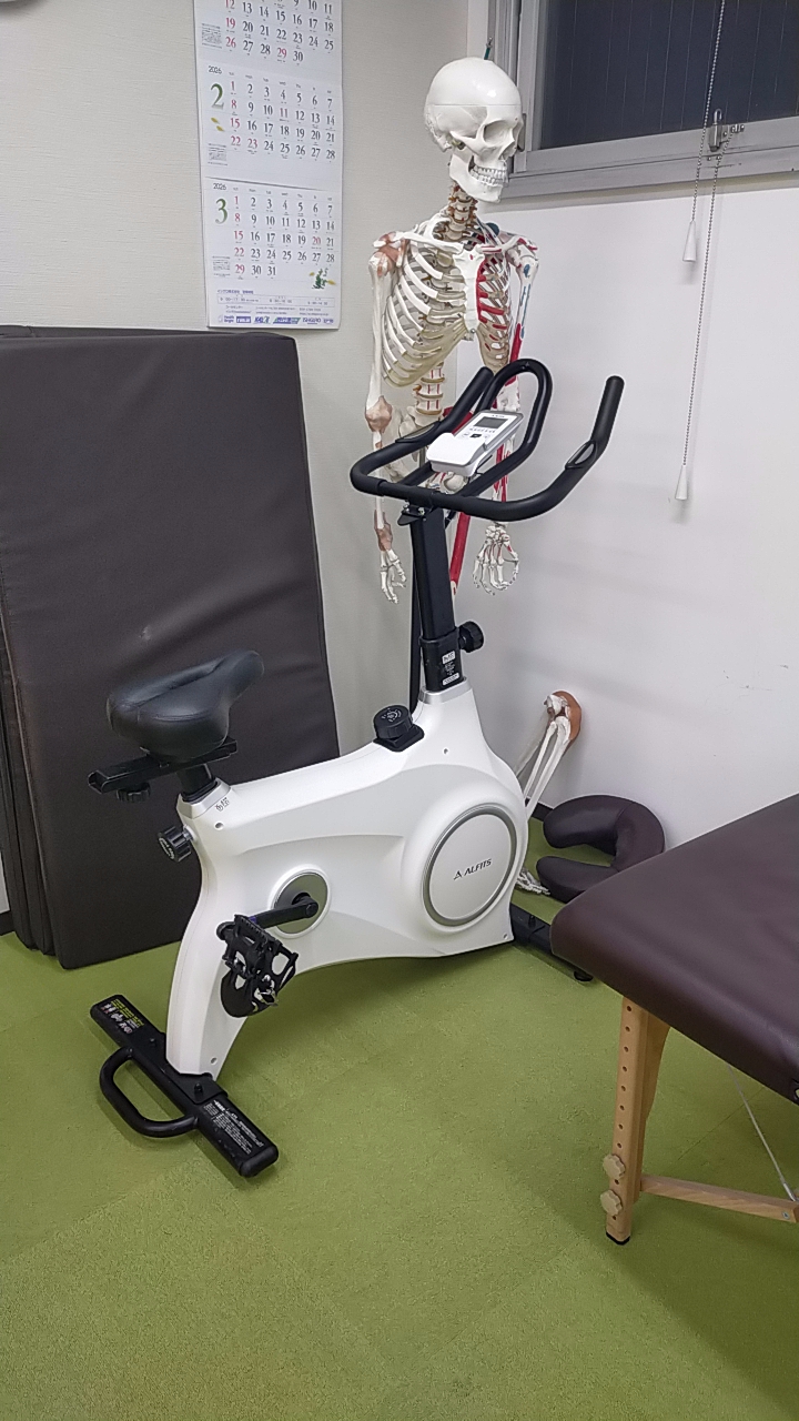 アライブ ダイエットPG