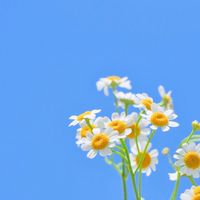 ☀️蕭歐北聊🤭