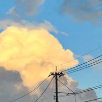 暇人おいで〜‼️みんなで話そう⭐️（雑談・ライト・相談・ゲーム・恋バナ・通知溜め）