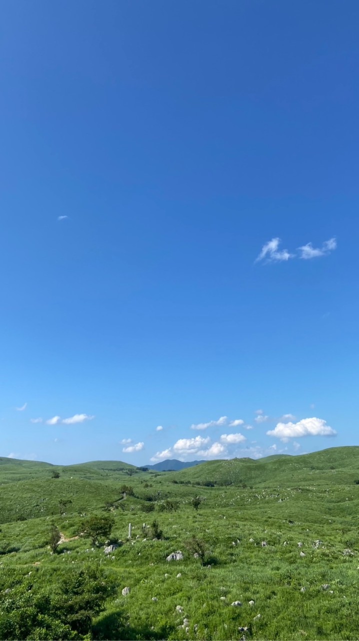 かわサポ