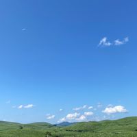 かわサポ