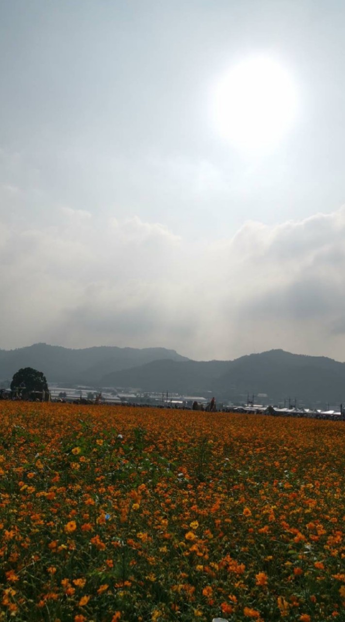 輕鬆自由放縱之地